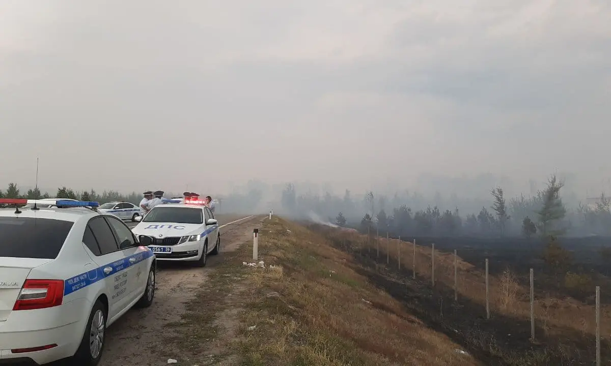 На Кожевенном кордоне под Воронежем сгорело 62 га леса