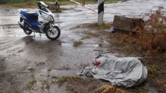 В Воронежской области полицейские поймали скутериста с 34 кустами мака