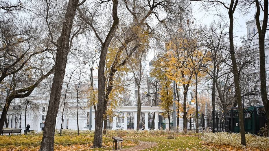 В Воронеже первая зимняя рабочая неделя будет прохладной и облачной