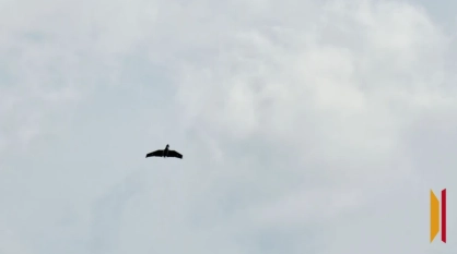 Обломки БПЛА повредили крышу частного дома и автомобиль в Воронежской области