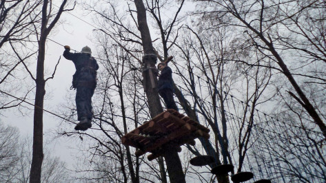 Подросток застрял на дереве на 8-метровой высоте в Воронежском центральном парке 