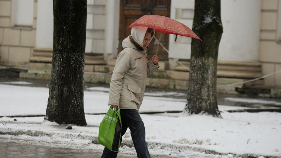 В Воронеже начало февраля будет дождливым