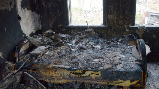 В воронежском селе при пожаре погиб 36-летний хозяин дома