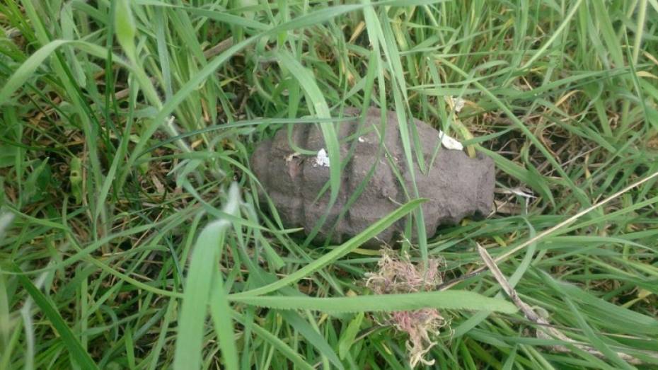 В Хохольском районе механизаторы обнаружили в поле 2 артснаряда и ручную гранату