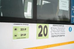 Воронежцы выбрали внешний вид новых маршруток путем голосования