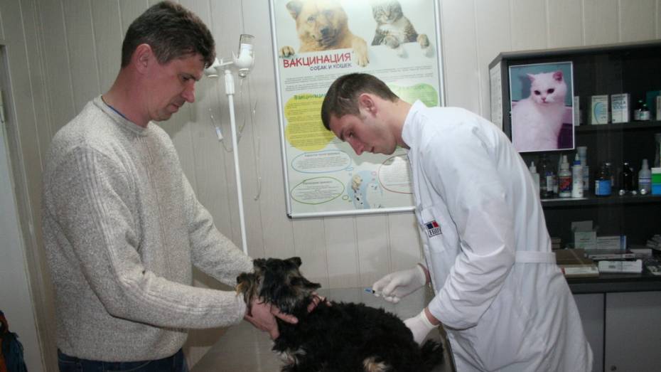 Ветеринары Воронежского зоопарка бесплатно проконсультируют владельцев животных