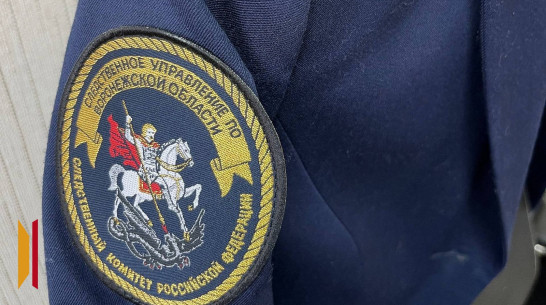 В Воронежской области знакомство в соцсети обернулось изнасилованием