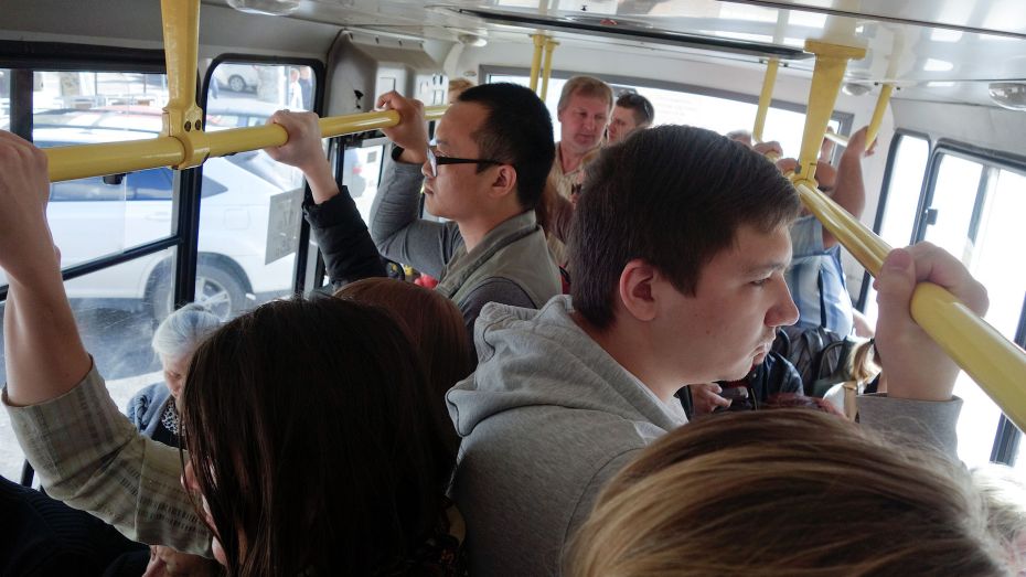 Чат-бот запустят для пассажиров 11 автобусных маршрутов в Воронеже