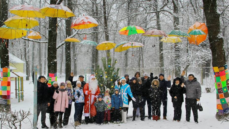 В Семилукском районе открылось арт-пространство «Новогодняя поляна – 2018»