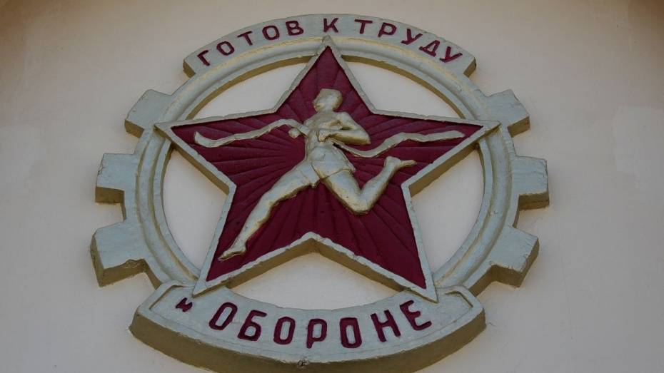 С начала 2018 года нормы ГТО сдали 27 тыс воронежцев