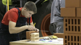Еще 12 мастерских создадут в Воронежской области в рамках проекта «Молодые профессионалы»