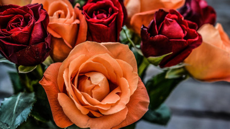 Отказ от цветов и вина обернулся для сотрудницы экспертного бюро в Воронеже потерей 1 млн рублей