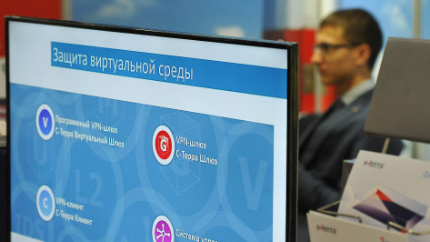 Губернатор Александр Гусев одобрил создание в Воронежской области IT-кластера