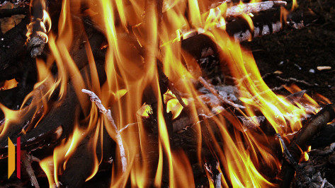 В Воронеже на Дальних садах сгорела дача: погиб 58-летний хозяин