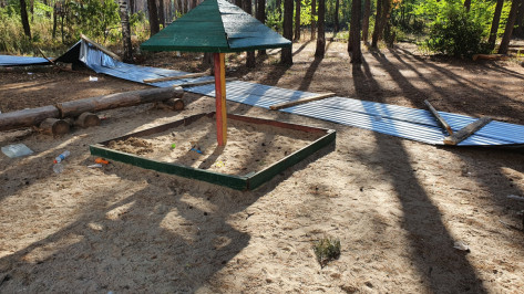  Жительница Воронежа рассказала подробности конфликта в Северном лесу