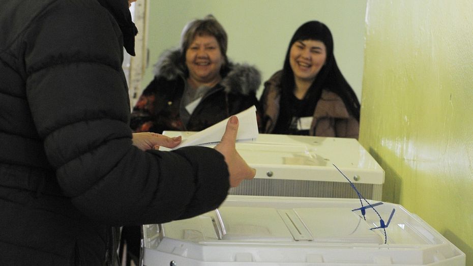 В Воронежской области к 10:00 на выборах президента проголосовали 7,8% избирателей