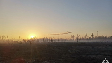 Пожар в Ямном под Воронежем локализовали на площади 50 га