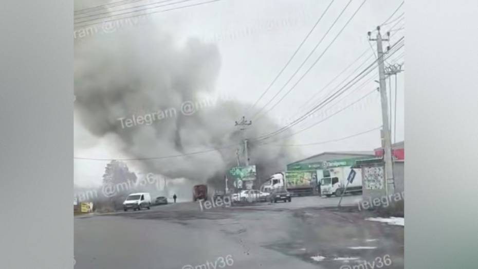 В воронежском селе Медовка днем 18 марта загорелся старый магазин: видео