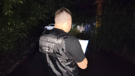 Кровавая расправа в Россоши Воронежской области попала на видео