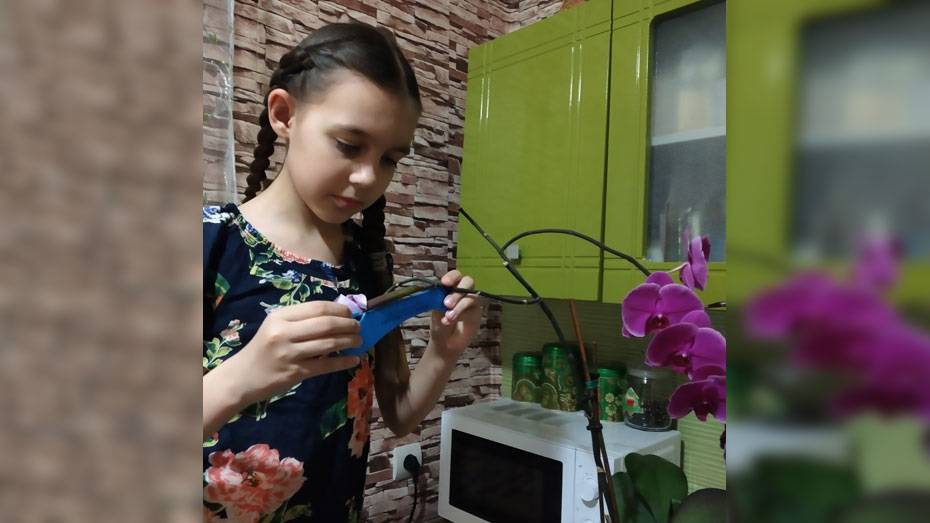 Репьевская школьница победила в международном научно-исследовательском конкурсе