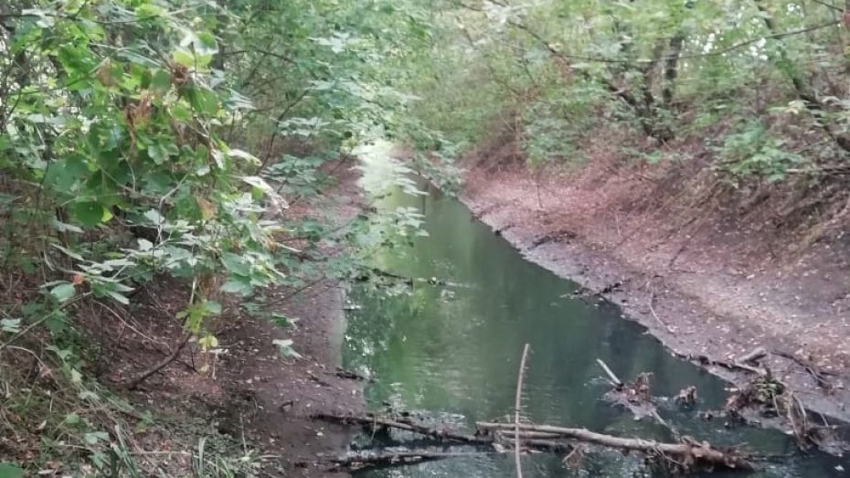 Специалисты подтвердили сброс загрязненных вод в реку Россошь в Воронежской области