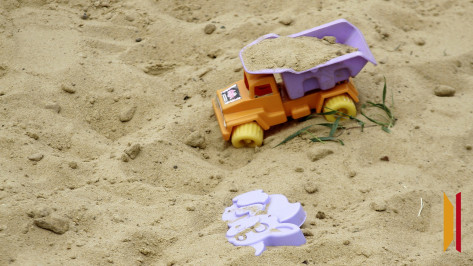 В Воронеже мать морила ребенка голодом, а затем похитила