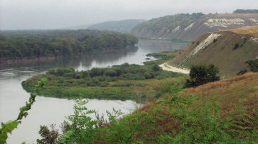 Воронежская область вошла в топ-10 субъектов РФ по качеству окружающей среды