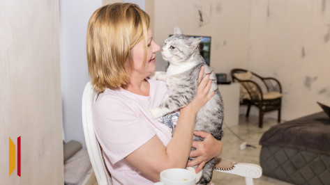 «Нитка вместо хвоста и полтора килограмма веса»: как жительница Воронежа выхаживает кошек, вывезенных из зоны СВО