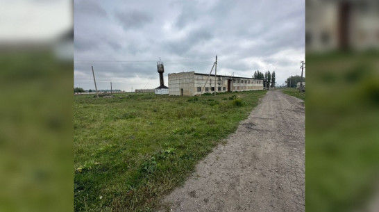 В Воронежской области выставили на продажу колхоз за 325 млн рублей