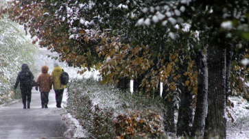 Снегопад и заморозки ожидаются в Воронеже в выходные