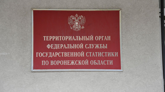 Воронежстат: средняя зарплата в 2019 году выросла до 42 тыс рублей