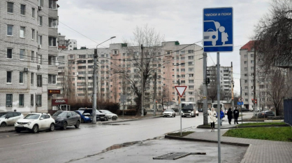 В Воронеже появился новый дорожный знак «Чмоки и поки»