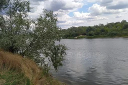 В Воронежской области обследуют 63 водоема для выработки оптимальных охранных решений
