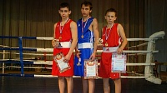 Трое каширских боксеров привезли домой «золотые перчатки» со Всероссийского турнира по боксу