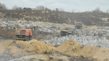 Воронежская область получит 79 млн рублей на создание мусоросортировочных комплексов
