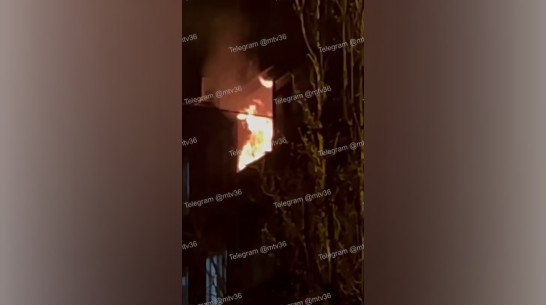 В Воронеже загорелась трехкомнатная квартира на улице Беговой