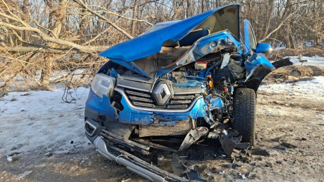 В Воронежской области в лобовом столкновении автомобилей пострадали 4 человека