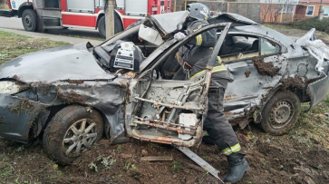 В Воронежской области 55-летний мужчина на Haima влетел в столб и умер