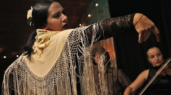 В Воронеже пройдет общероссийский фестиваль фламенко