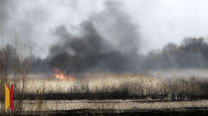 Жителей Воронежской области предупредили об опасности палов сухой травы