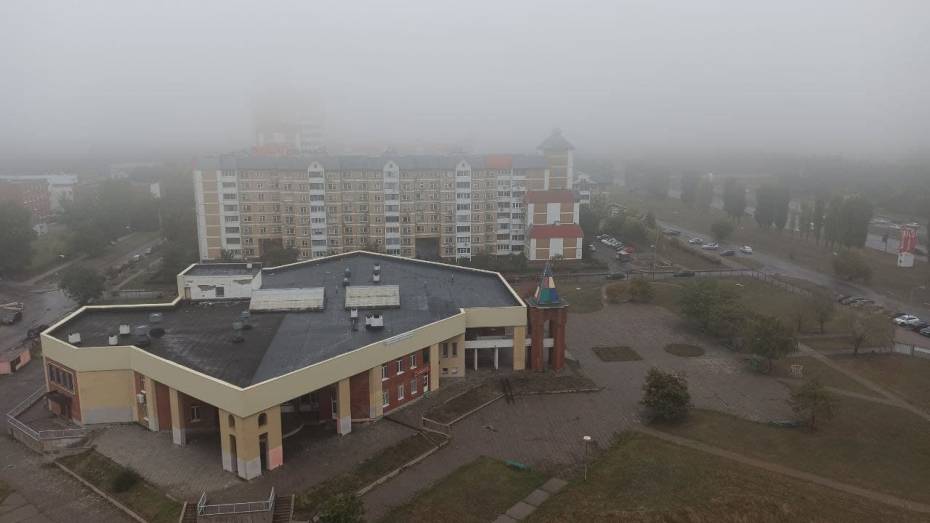 В Воронежской области объявили желтый уровень опасности из-за тумана
