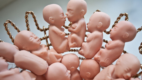 В Воронеже отговаривать женщин от абортов будут с помощью моделей человеческих эмбрионов