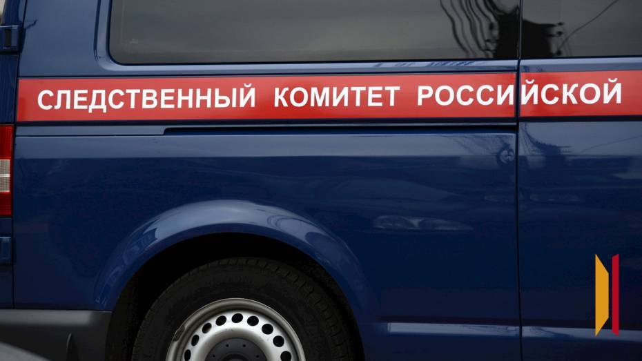 СК проводит проверку после жестокого избиения подростками мужчины в Советском районе Воронежа