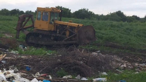 Крупную свалку с останками животных обнаружили в Воронежской области