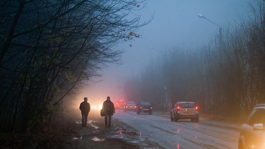 Туман и гололедица увеличивают аварийность на дорогах Воронежской области