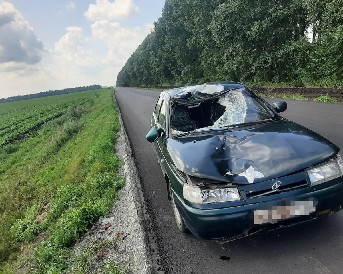 В Воронежской области 57-летний пешеход погиб под колесами ВАЗ-2110