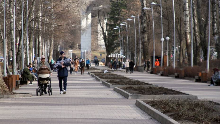 Третий день подряд погода в Воронеже бьет температурные рекорды