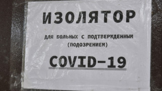 Коронавирус подтвердили еще у 233 воронежцев