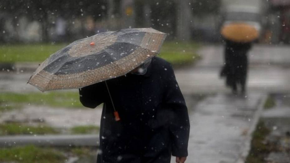 Метеорологи обновили прогноз на первый снег в Воронеже