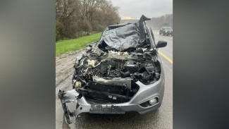 В Воронежской области Hyundai врезался в фуру: пострадали 3 человека